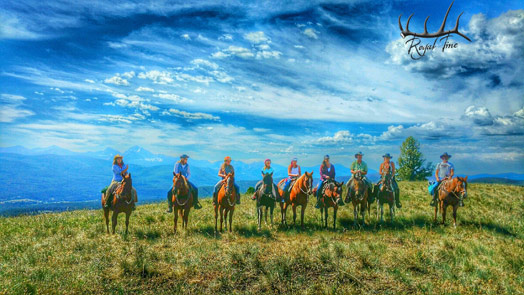 Montana horse trailrides