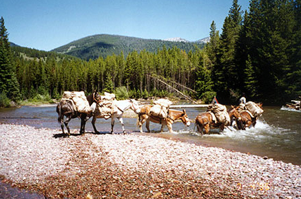montana horseback camping trips
